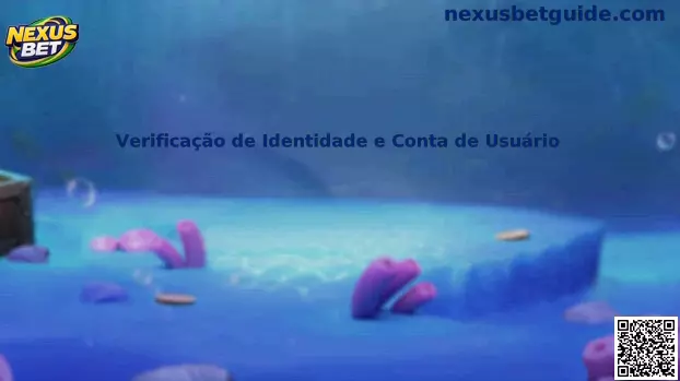 Verificação de Identidade e Conta de Usuário