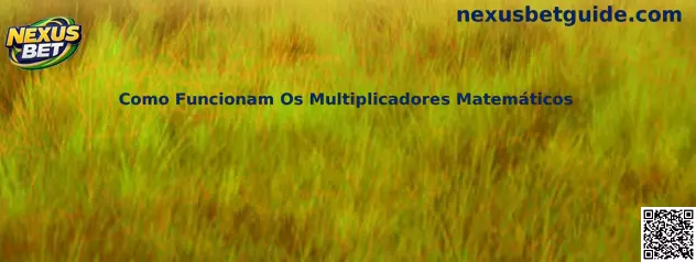 Como Funcionam Os Multiplicadores Matemáticos